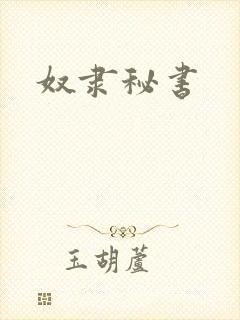 奴隶秘书封面