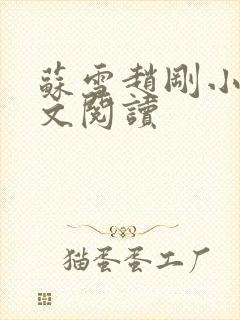 苏雪赵刚小说全文阅读