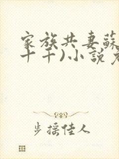 家族共妻苏苏(十千)小说免费