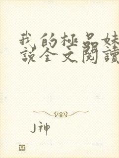 我的极品妹妹小说全文阅读