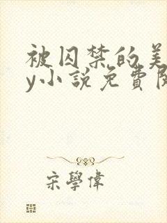 被囚禁的美人by小说免费阅读