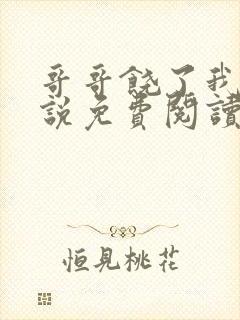 哥哥饶了我吧小说免费阅读封面