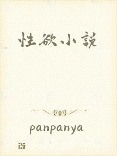 性欲小说