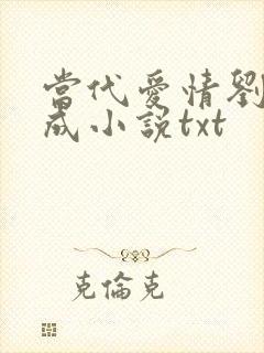 当代爱情刘雪刘成小说txt封面