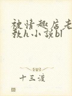 被情趣店老板调教h小说bl