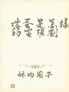 坏蛋是怎样炼成的电视剧