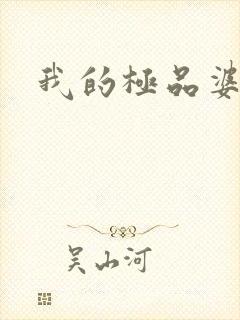 我的极品婆婆封面