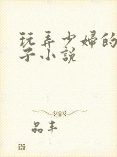 玩弄少妇的大奶子小说封面