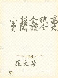 小说全职高手免费阅读全文无窗口