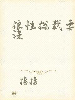 狼性总裁要够了没封面