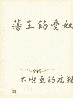 藩王的爱奴