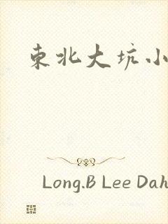 东北大坑小说
