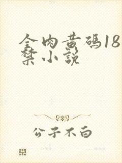 全肉黄码18无禁小说