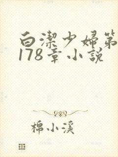 白洁少妇第1一178章小说