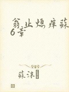 翁止熄痒苏玥第6章