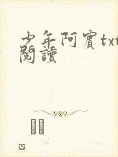 少年阿宾txt阅读