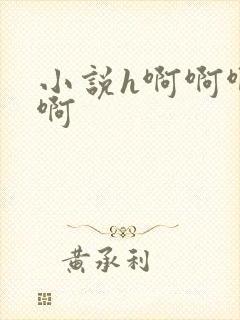 小说h啊啊啊啊啊封面