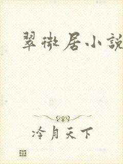 翠微居小说
