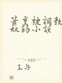 萧熏被调教成肉奴的小说