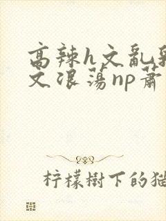 高辣h文乱乳h文浪荡np萧太后封面