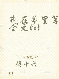 我在梦里等花开全文txt