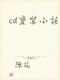 cd变装小说封面