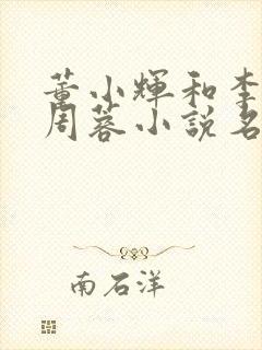 董小辉和李秋芸周蓉小说名封面