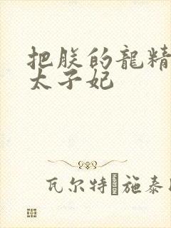 把朕的龙精含h太子妃封面