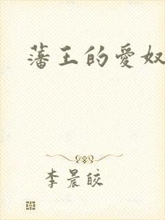 藩王的爱奴