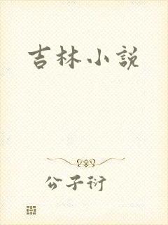 吉林小说封面