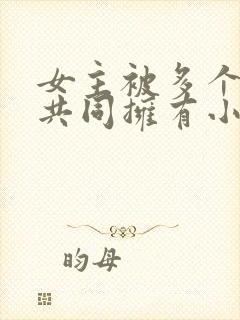 女主被多个男主共同拥有小说