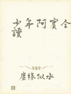 少年阿宾全集阅读