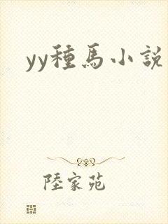 yy种马小说封面