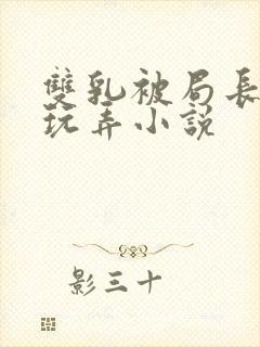 双乳被局长揉着玩弄小说封面