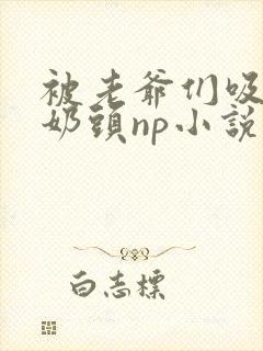 被老爷们吸肿的奶头np小说