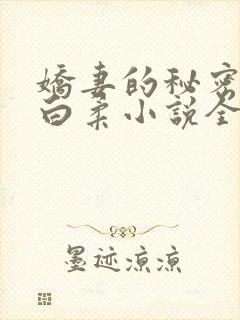 娇妻的秘密王平白柔小说全文阅读