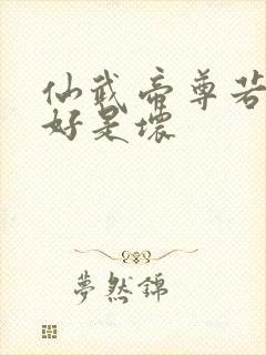 仙武帝尊若曦是好是坏