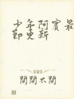 少年阿宾最新章节更新封面