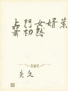 上门女婿叶辰和萧初然