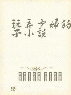 玩弄少妇的大奶子小说封面