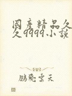 国产精品久久久久9999小说