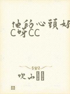 他的心头好 CC呀CC