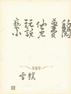 亵玩仙尊的道侣小说免费阅读封面