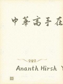 中华高手在异世封面