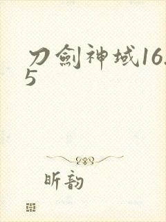 刀剑神域16.5