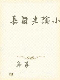 长日光阴小说