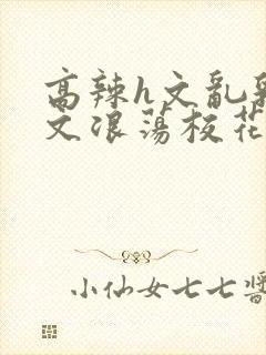 高辣h文乱乳h文浪荡校花小说封面