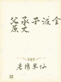 父承子液金银花原文封面