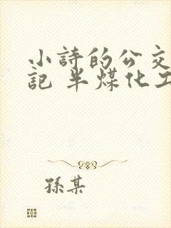 小诗的公交车日记 半煤化工