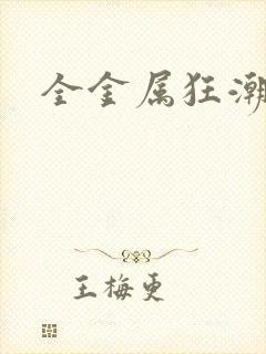 全金属狂潮小说封面